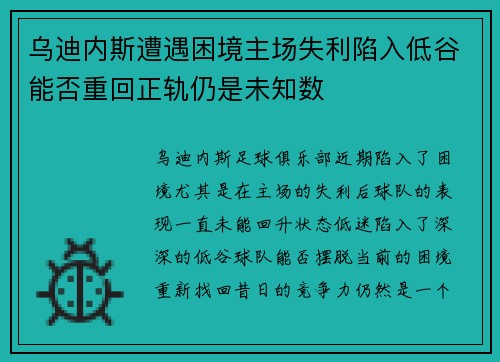 乌迪内斯遭遇困境主场失利陷入低谷能否重回正轨仍是未知数
